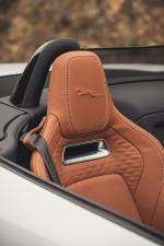 Jaguar F-Type P450 R-Dynamic Convertible 2020 года (WW)